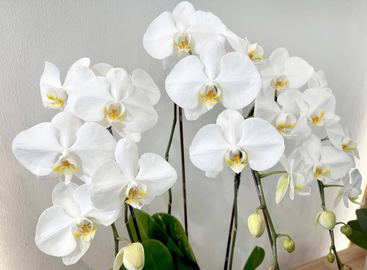 Φωτογραφία: Shutterstock 