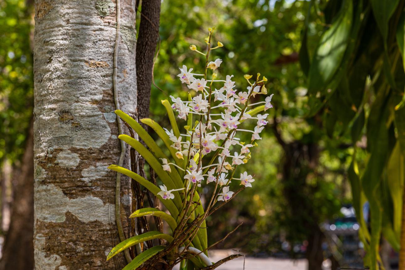 Φωτογραφία: Shutterstock