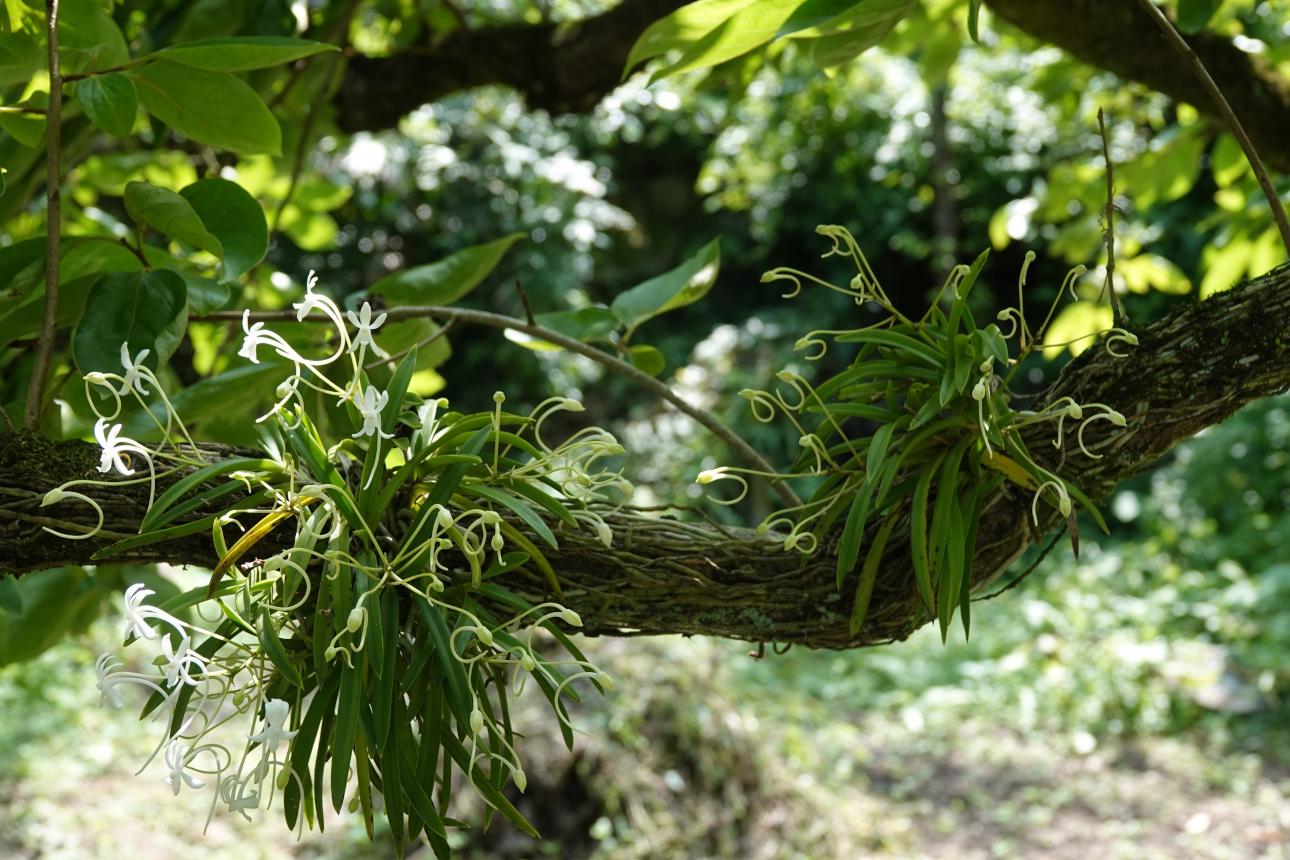 Φωτογραφία: Shutterstock 