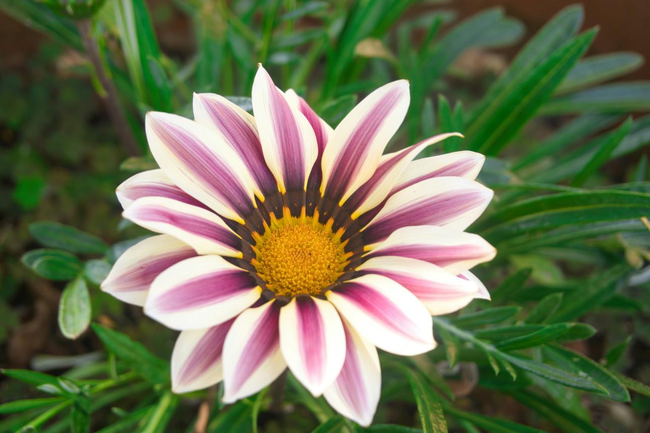 Φωτογραφία: Unsplash 