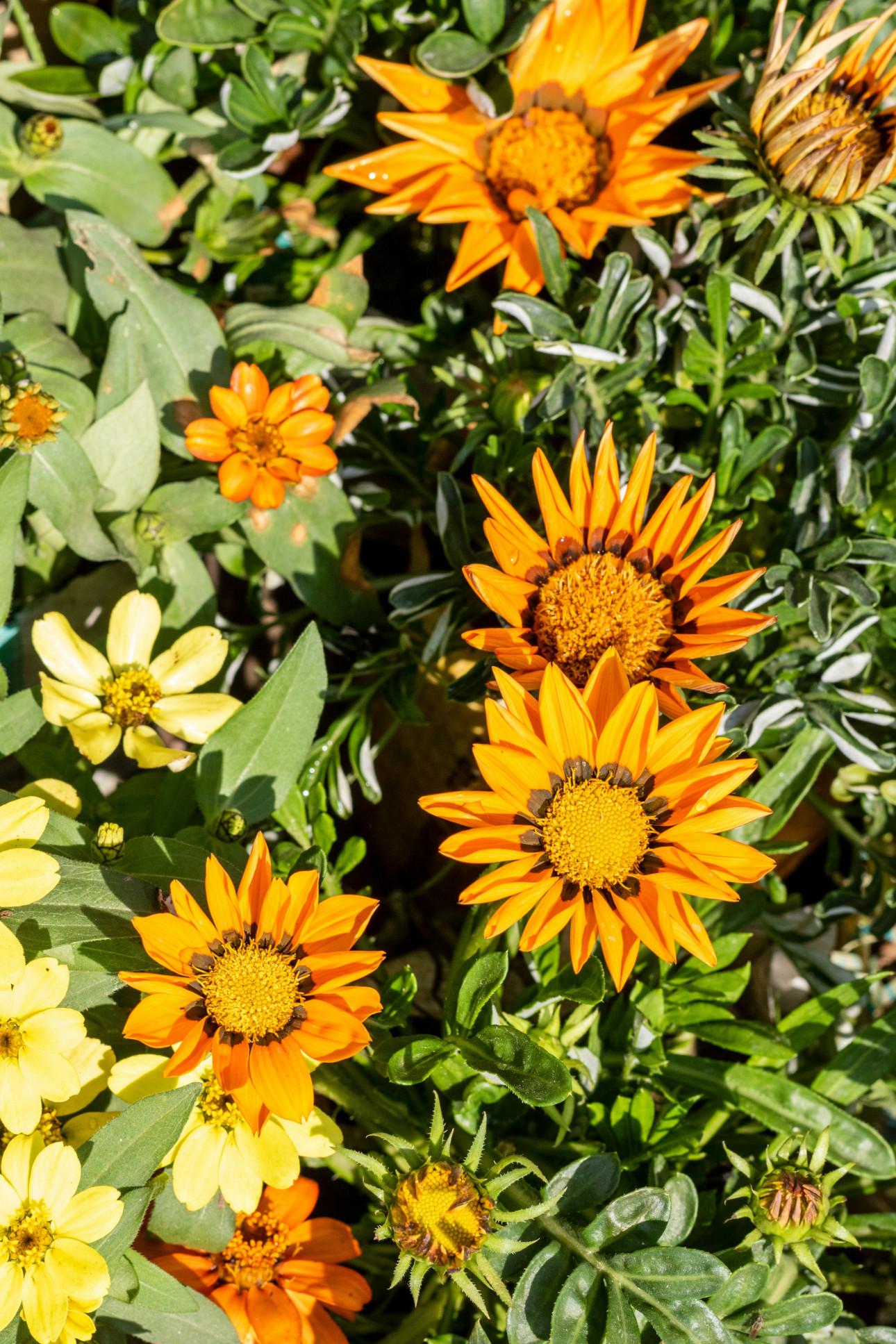 Φωτογραφία: Unsplash 