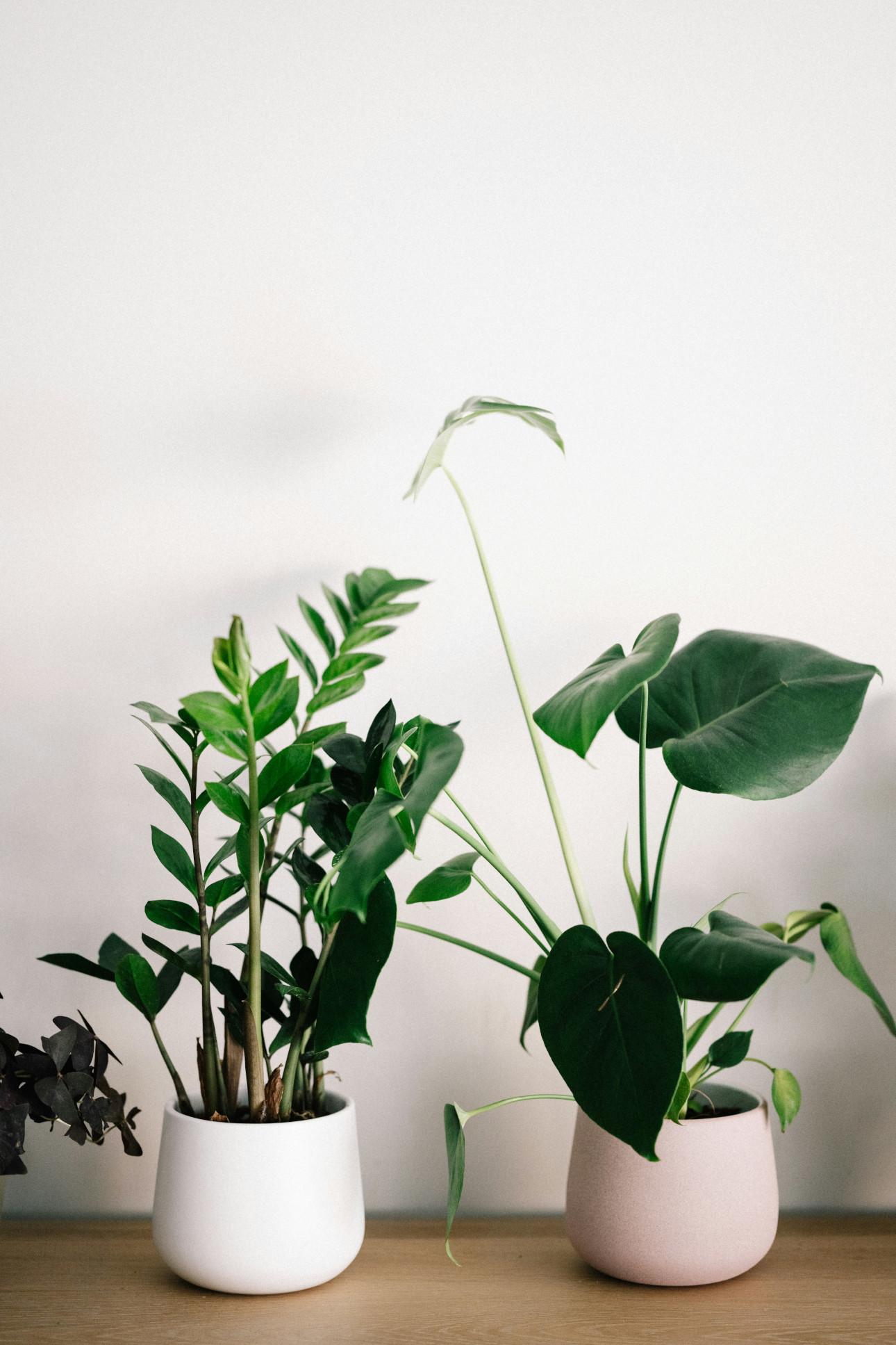 Φωτογραφία: Unsplash