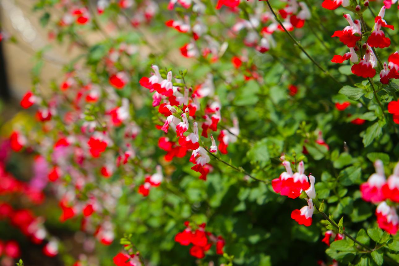 Φωτογραφία: Shutterstock 