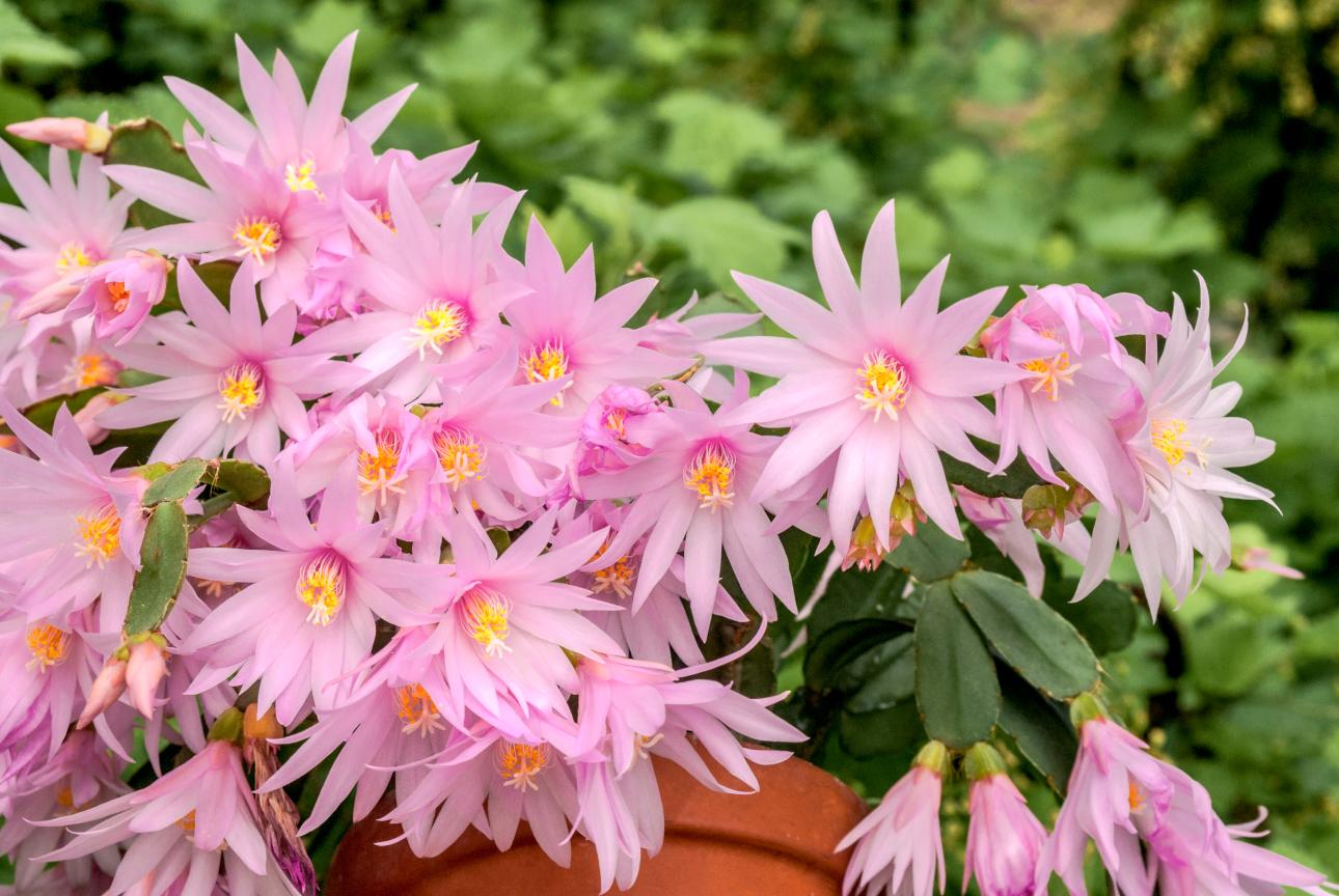 Φωτογραφία: Shutterstock