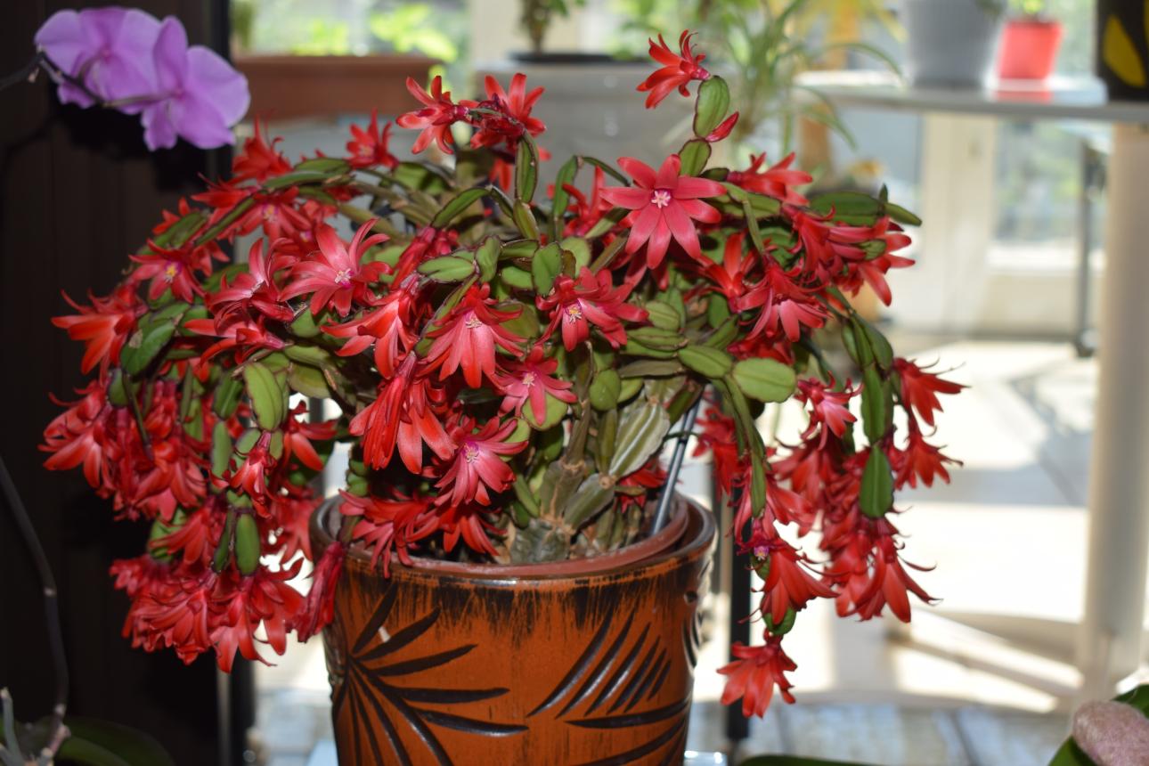 Φωτογραφία: Shutterstock