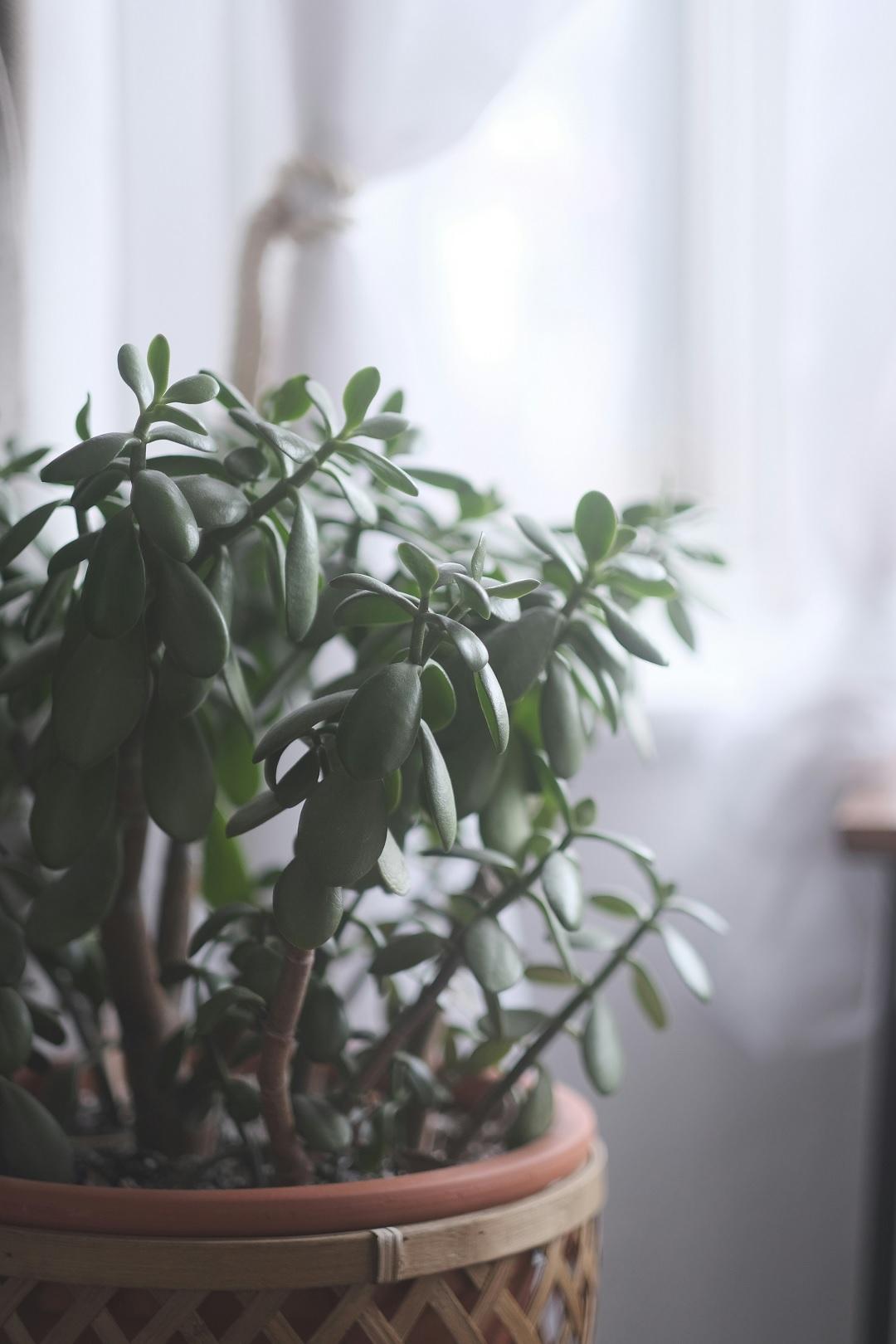 Φωτογραφία Unsplash 