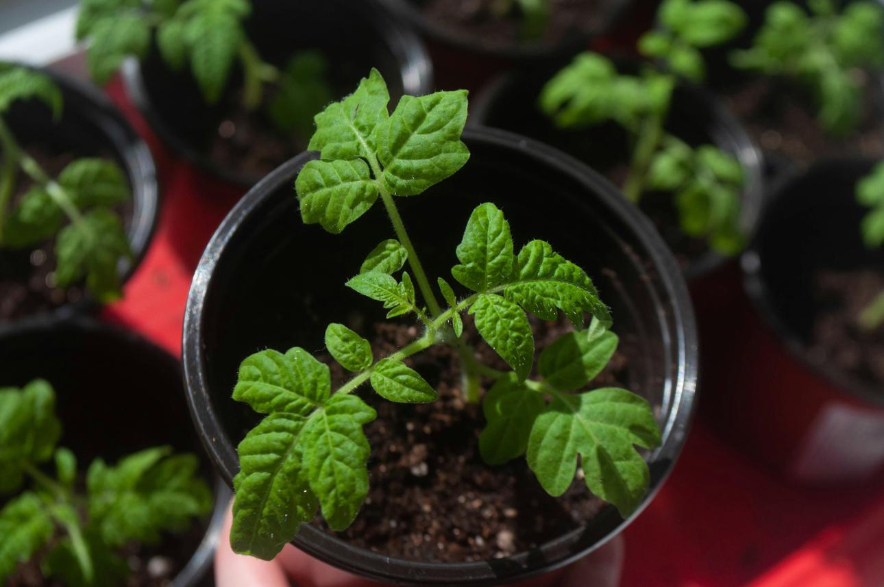 Φωτογραφία: Unsplash 