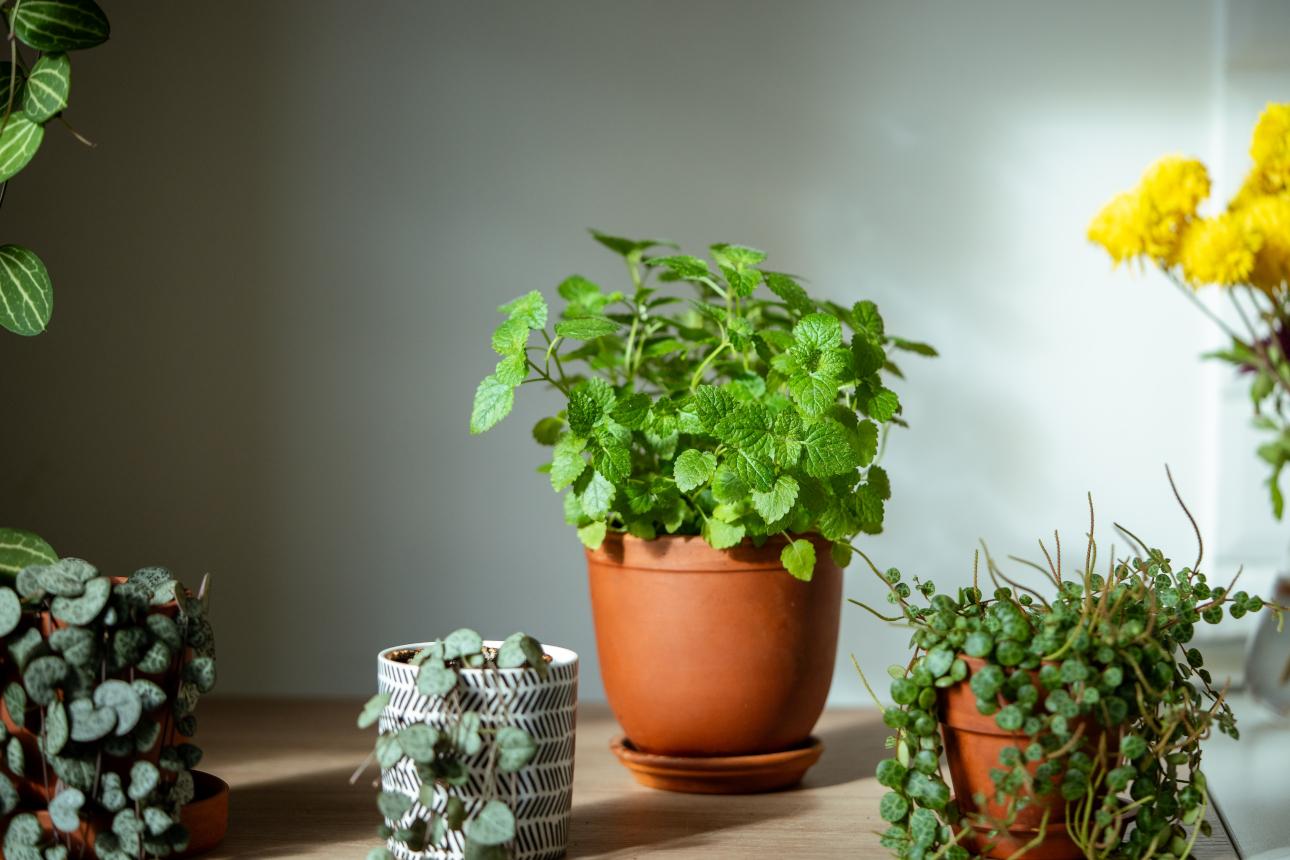 Φωτογραφία: Shutterstock