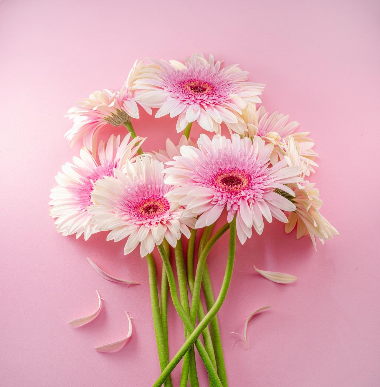  Φωτογραφία: shutterstock 
