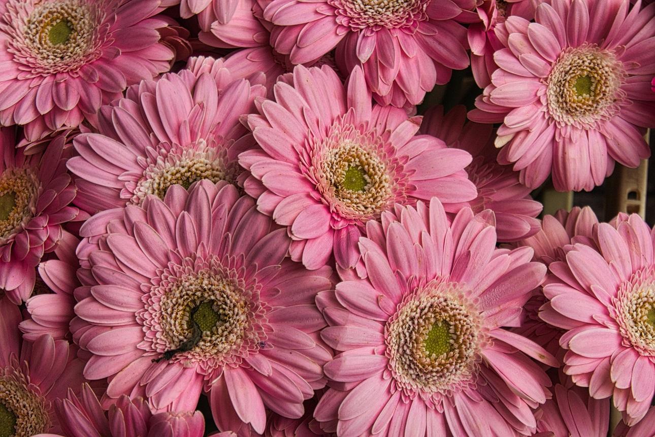 Φωτογραφία: shutterstock