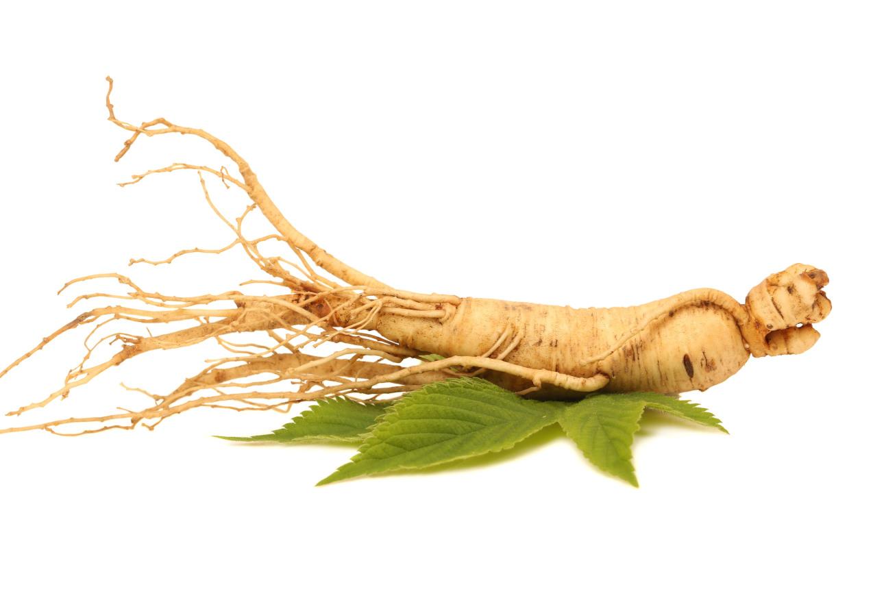 Φωτογραφία: Shutterstock