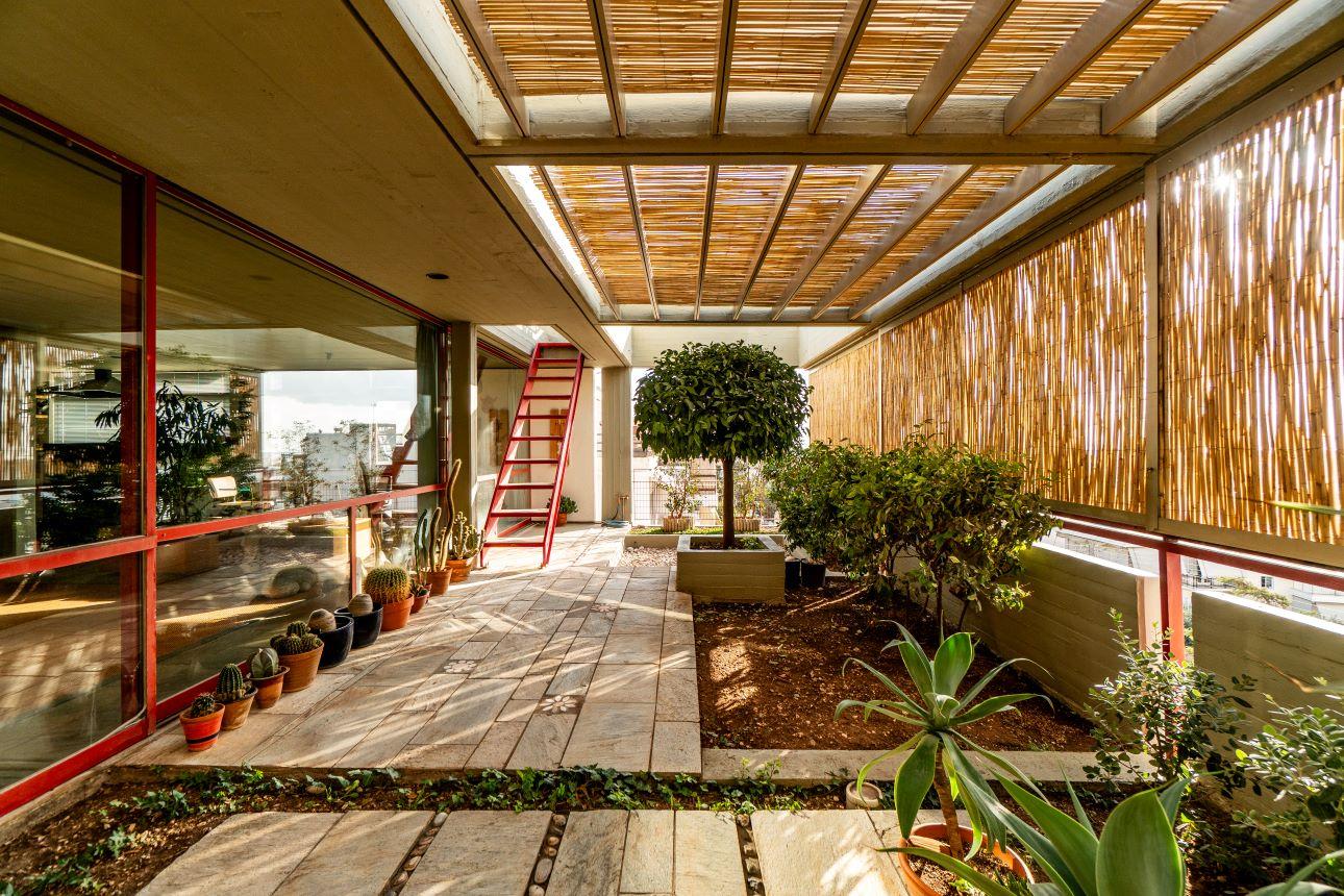 Η φύτευση στο μπαλκόνι δίνει χαρακτήρα σε ολόκληρο το διαμέρισμα/ Φωτογραφία: Παντελής Χερουβείμ 