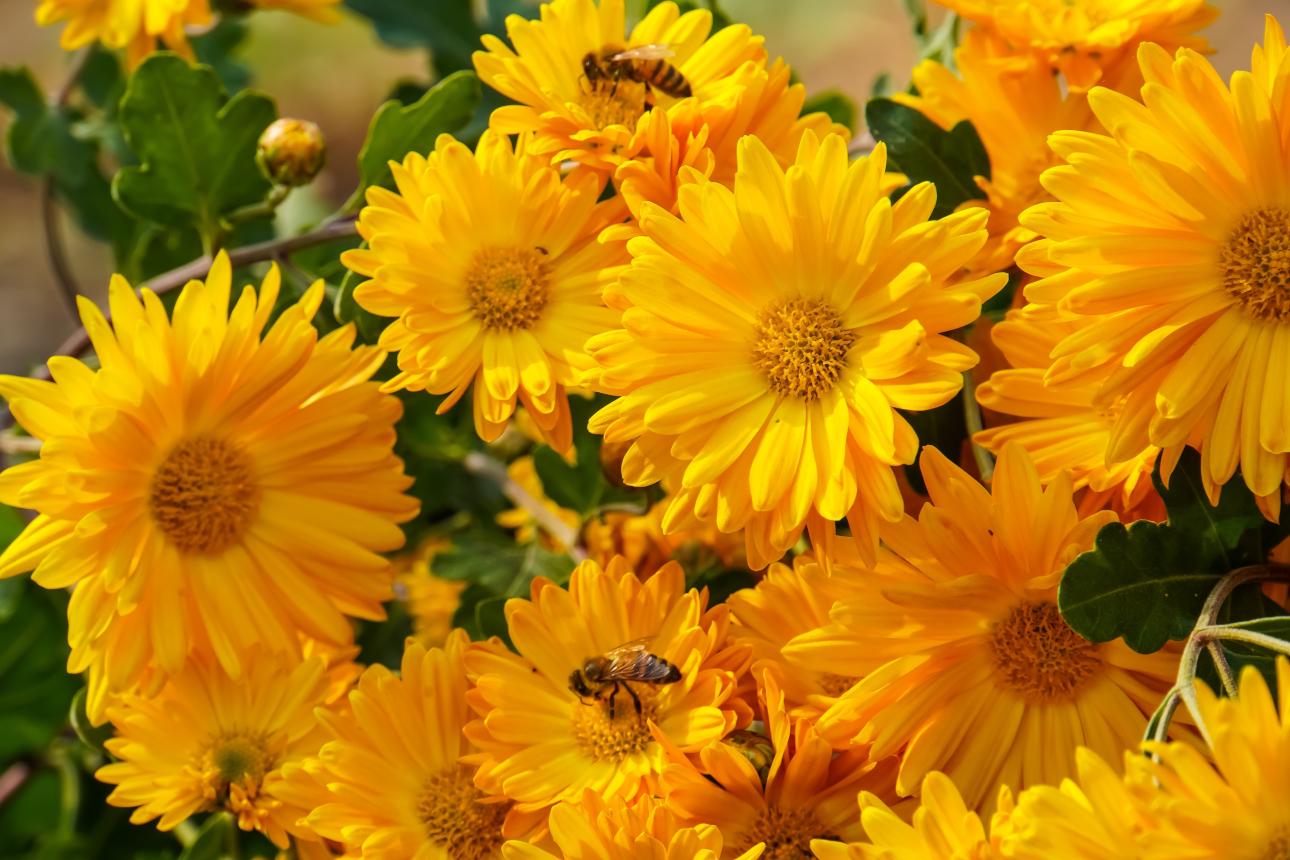 Φωτογραφία: Shutterstock