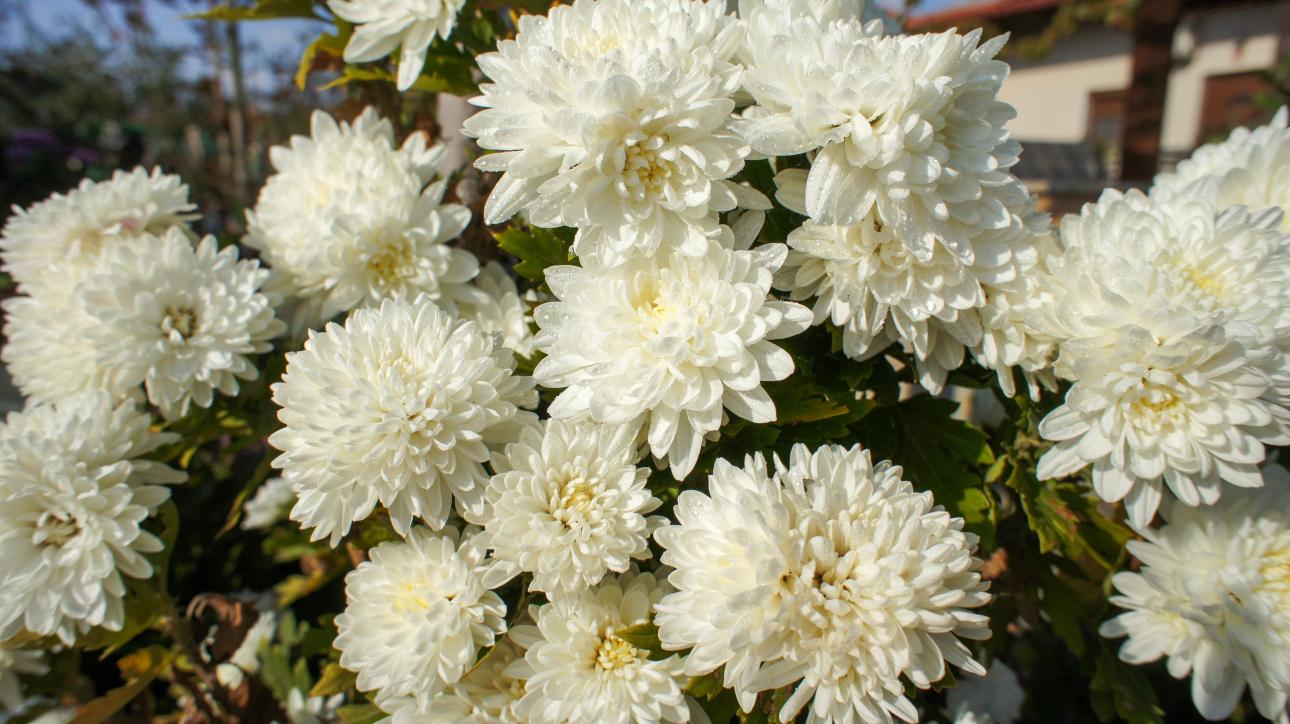 Φωτογραφία: Shutterstock