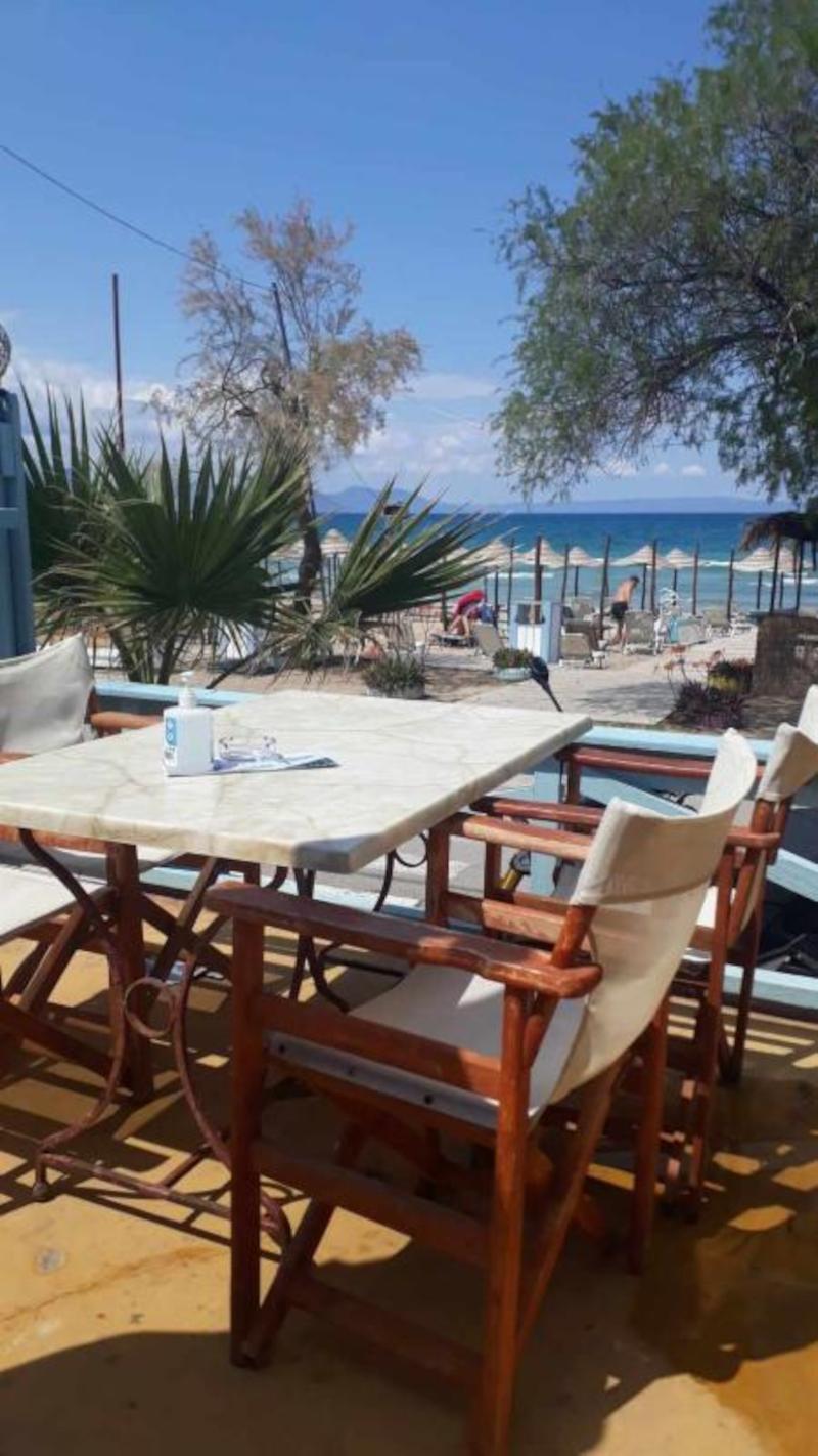 Ο χώρος του beach bar Ιππόκαμπος/ Φωτογραφία: Ιππόκαμπος