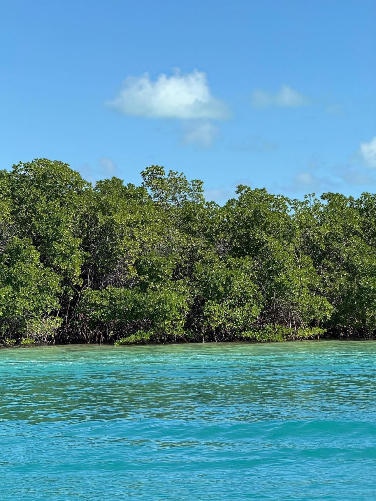 Φωτογραφία/Instagram:@irinashayk  