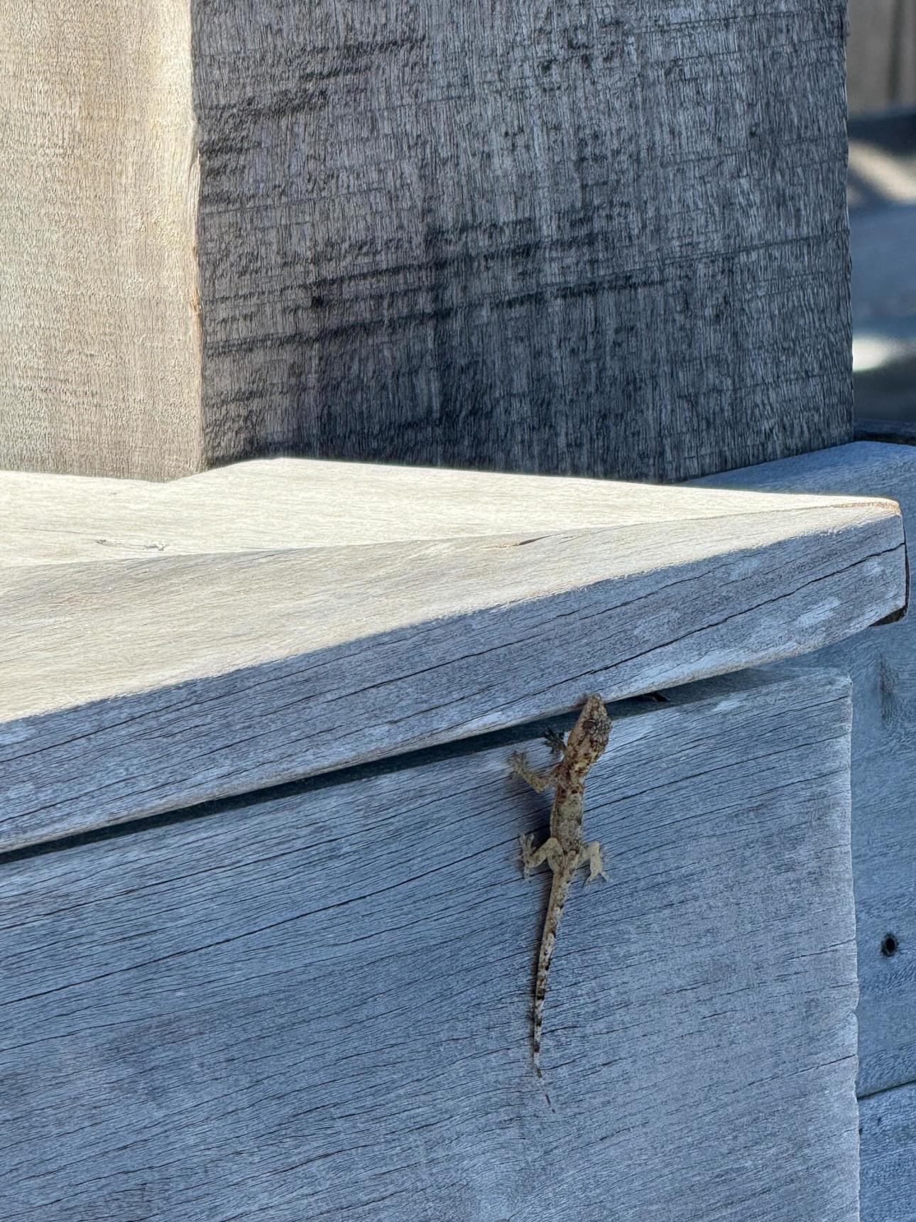 Φωτογραφία/ Instagram:@irinashayk  