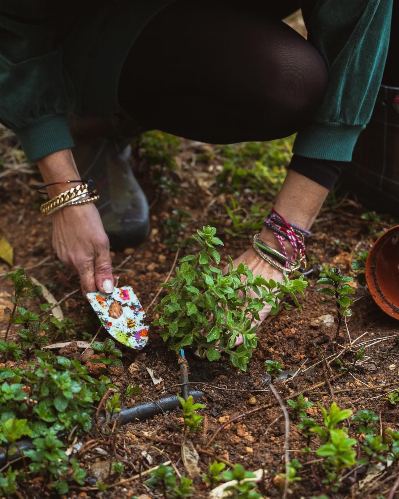 Photo credit: Τζένη Μπότση Instagram