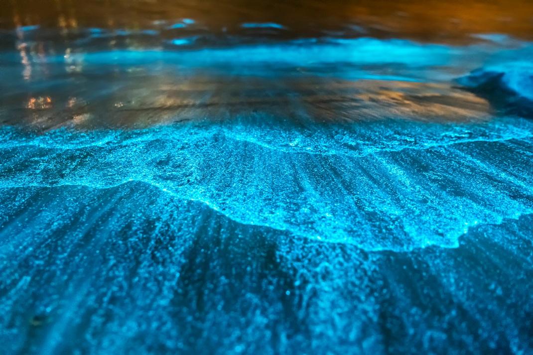 Φωτογραφία: Shutterstock/ Jervis Bay, Australia