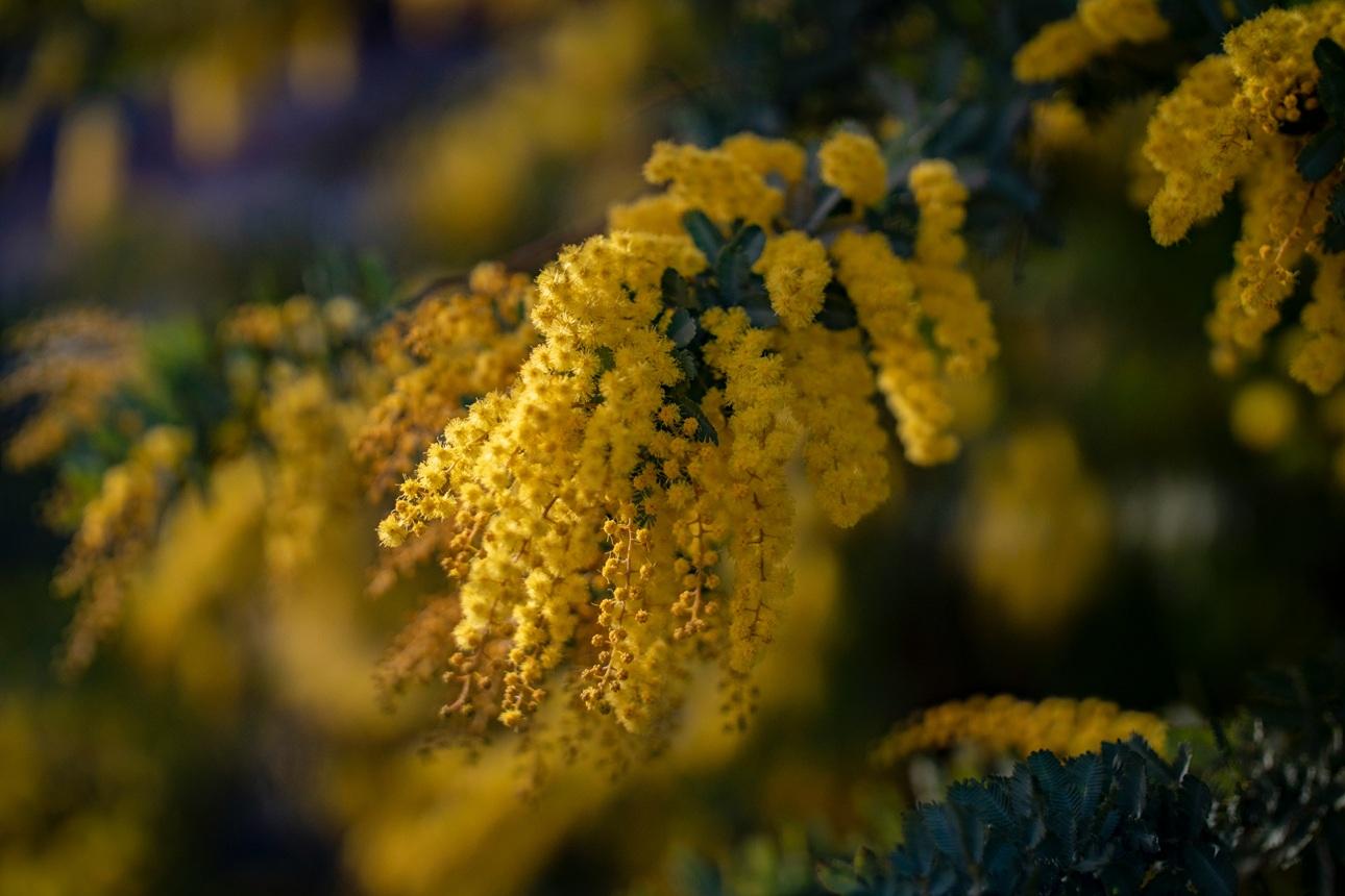 Φωτογραφία: Unsplash