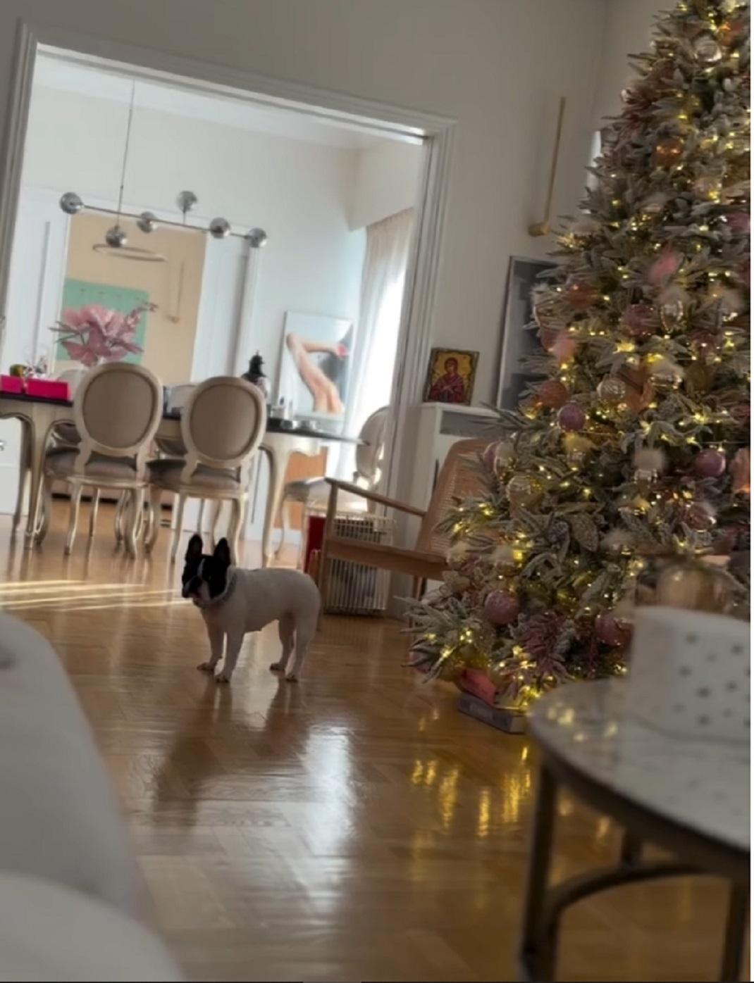 Φωτογραφία Instagram/@katken85