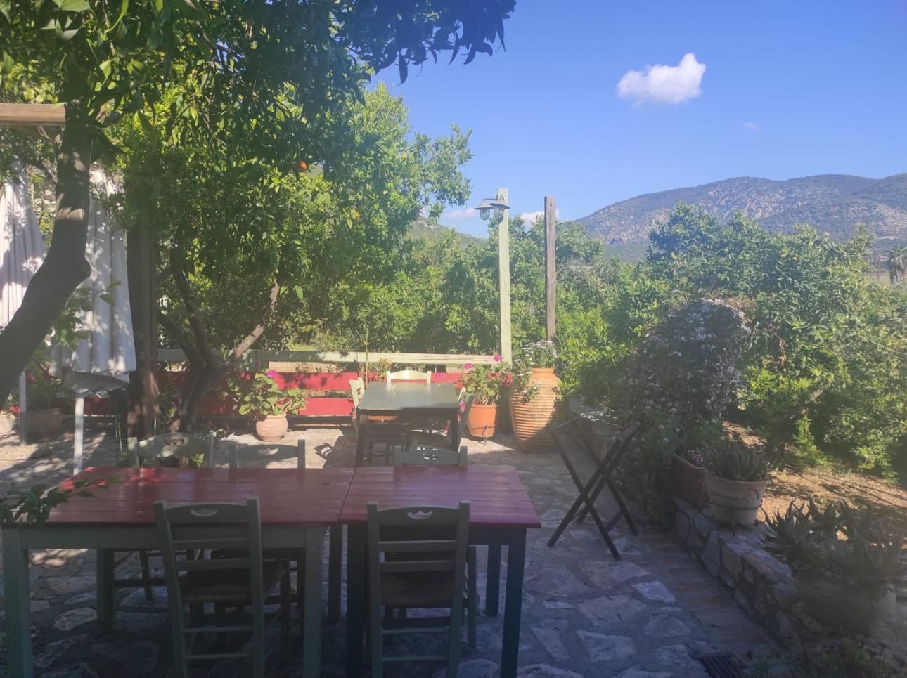 Φωτογραφία: Facebook @Το Καλογερικόν