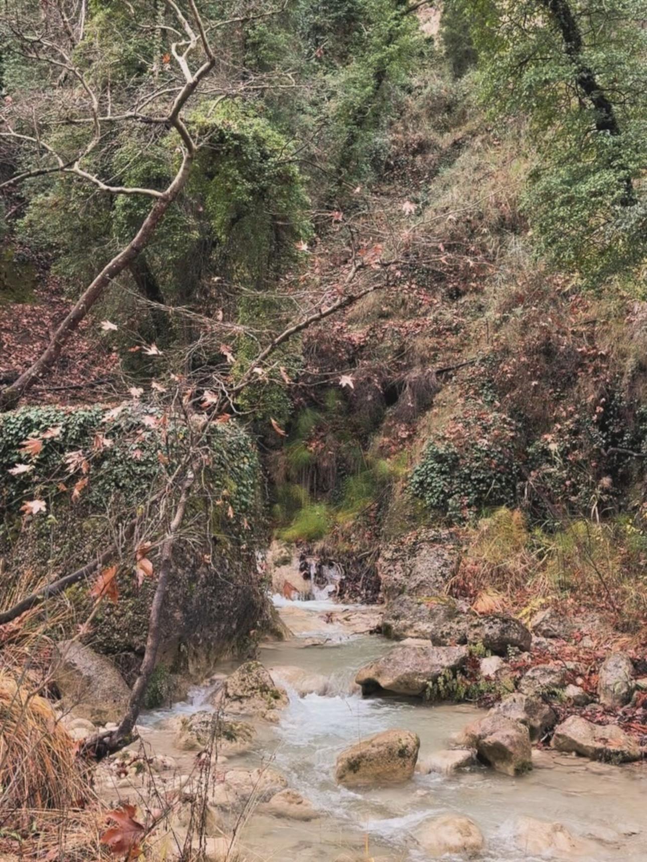 Φωτογραφία/Instagram: @katerinakaravatou  