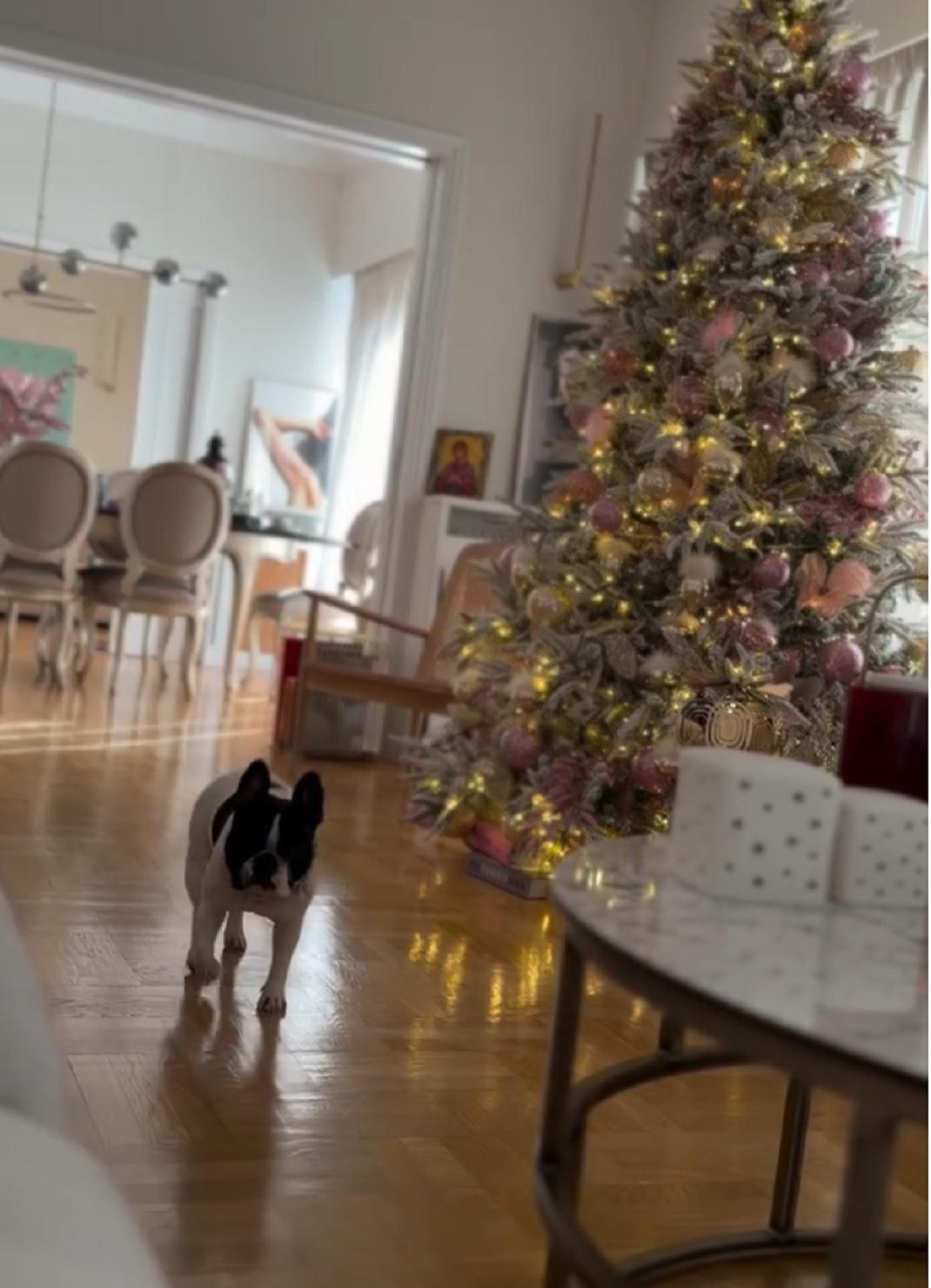 Φωτογραφία Instagram/@katken85