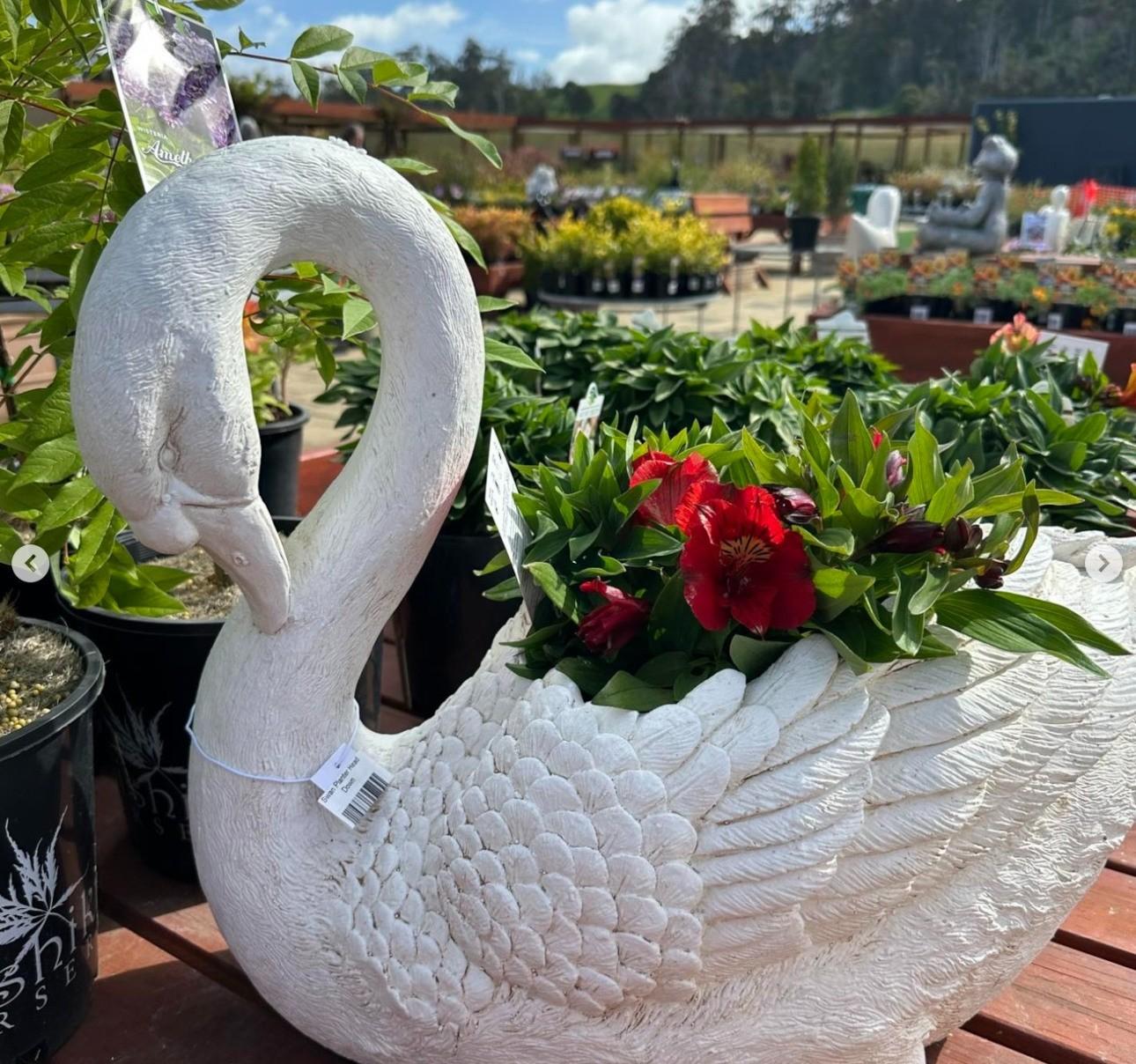 Φωτογραφία: Instagram/ @terracotta_clayworks