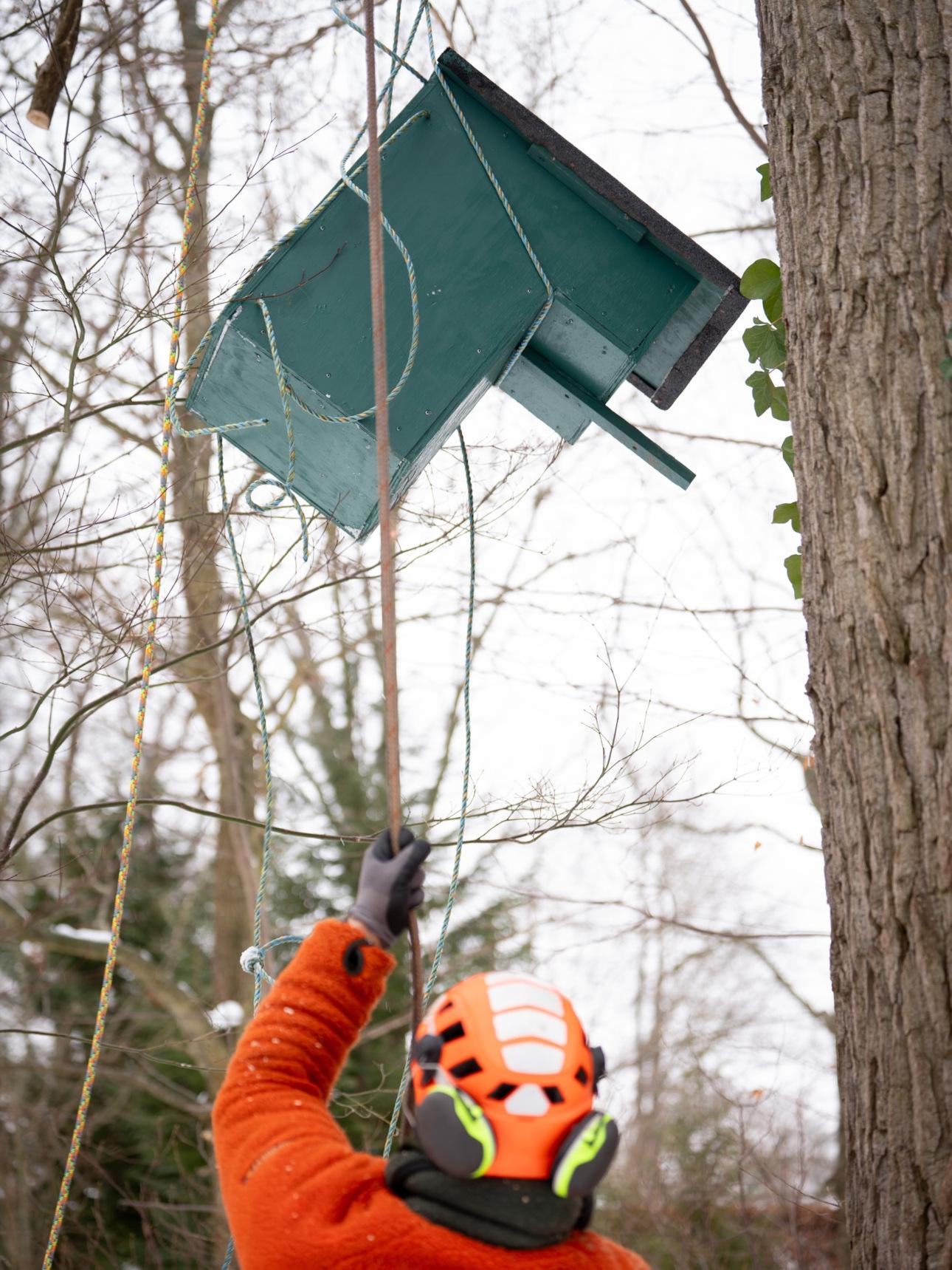 Φωτογραφία: Instagram/@﻿detdanskekongehus 