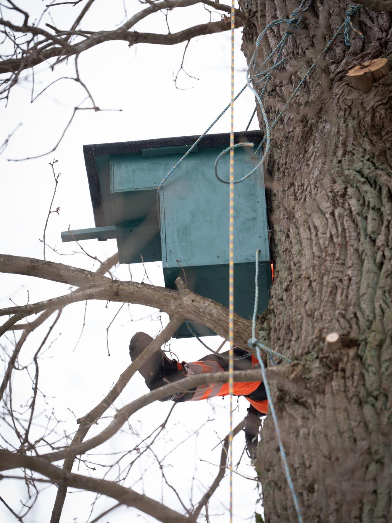 Φωτογραφία: Instagram/@﻿detdanskekongehus  