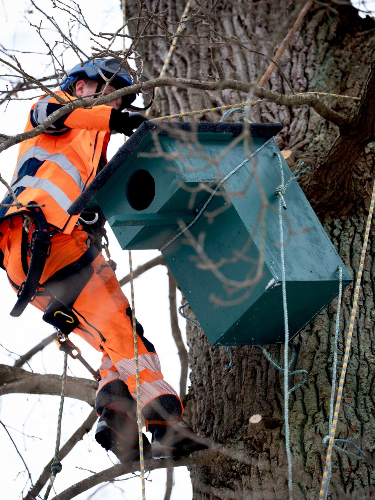 Φωτογραφία: Instagram/@﻿detdanskekongehus  