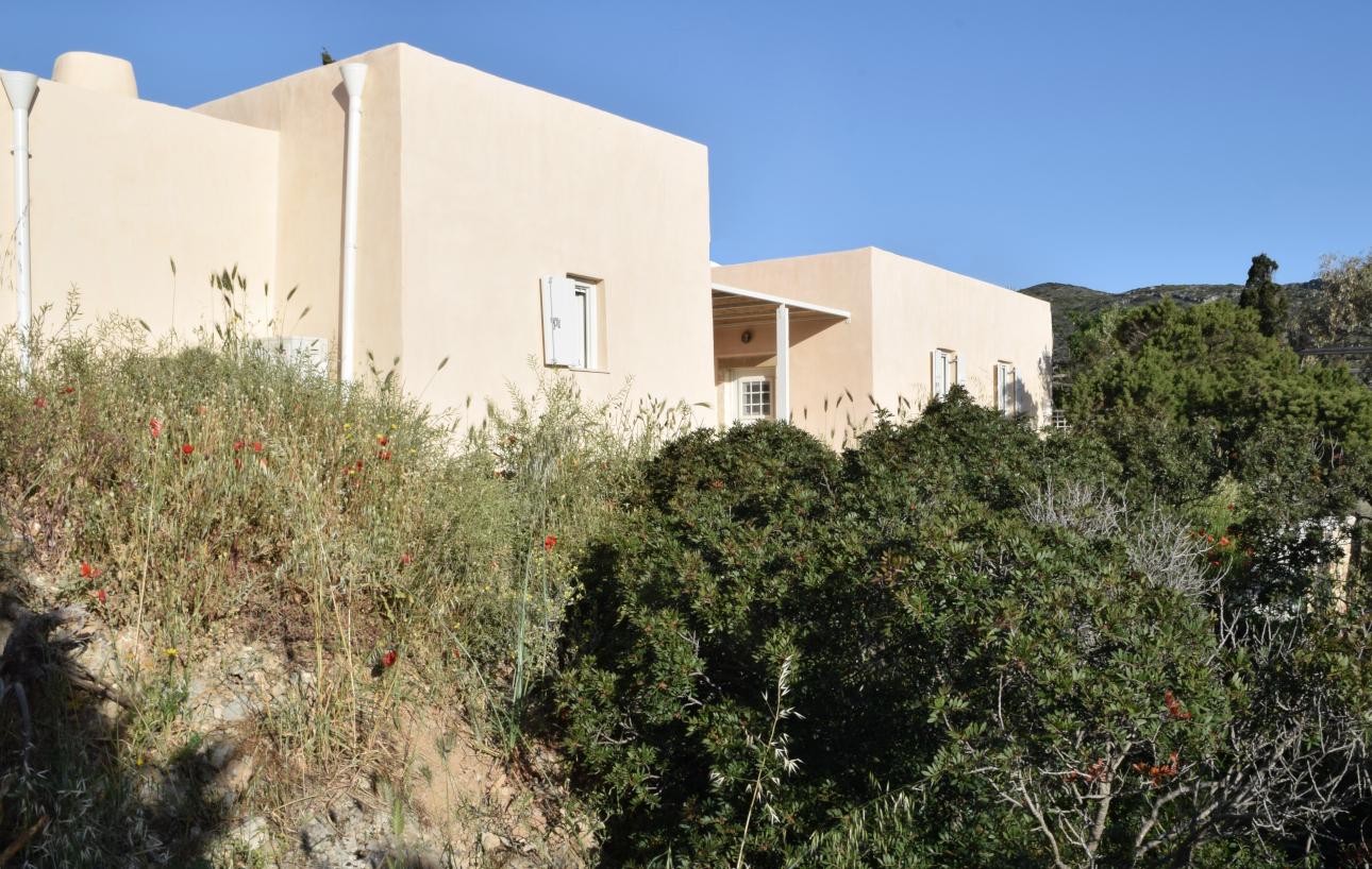 Στην εξωτερική μορφή της κατοικίας διατηρήθηκαν τα παραδοσιακά αρχιτεκτονικά στοιχεία/ Φωτογραφία: Παναγιώτης Παπανικολάου 