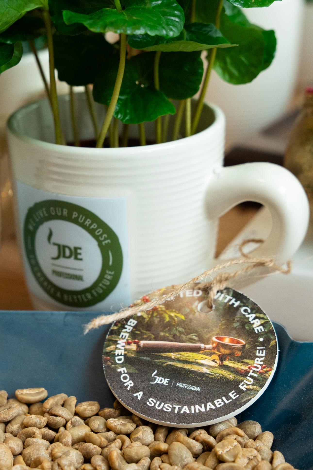 Φυτό και κόκκοι καφέ, σεμινάριο στο Coffee Masters Campus του L’OR