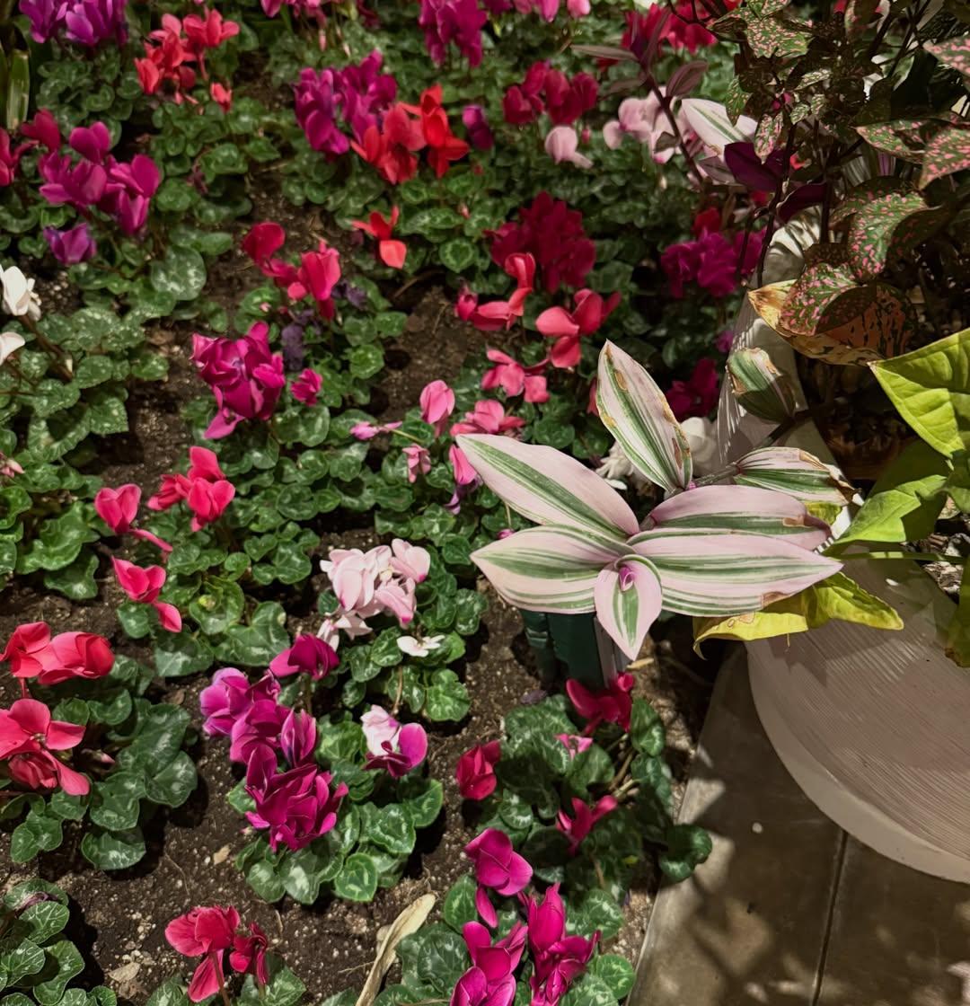 @konstantinaspyropoulou