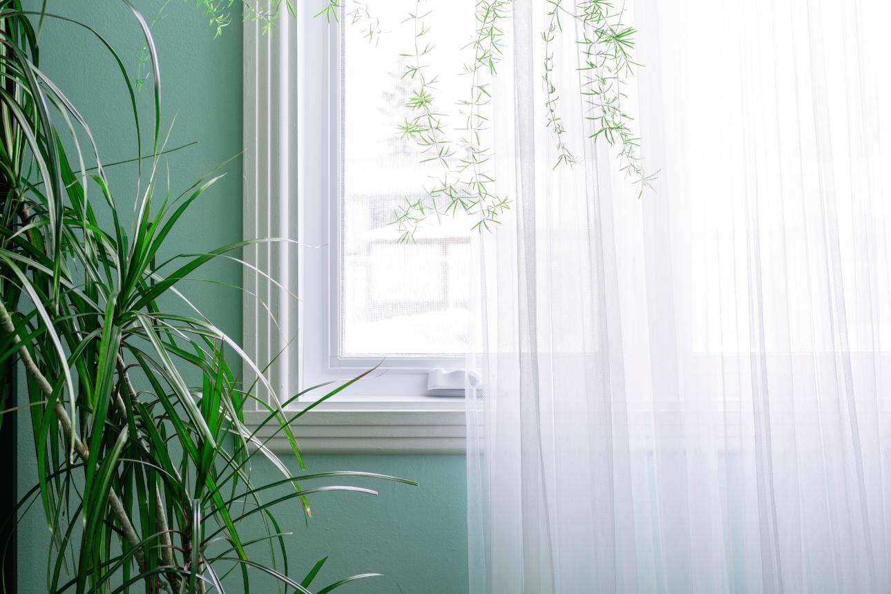 Φωτογραφία: Shutterstock