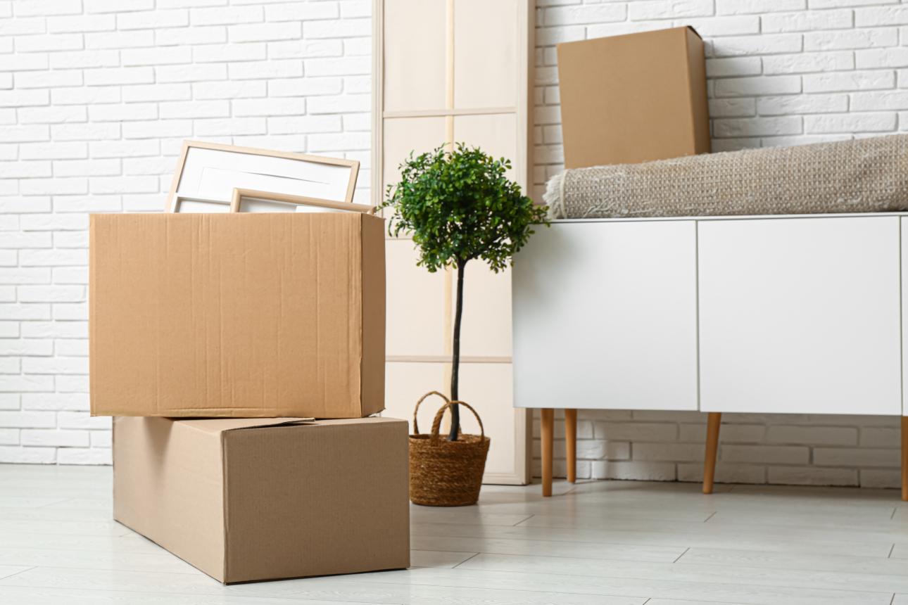 Φωτογραφία: Shutterstock