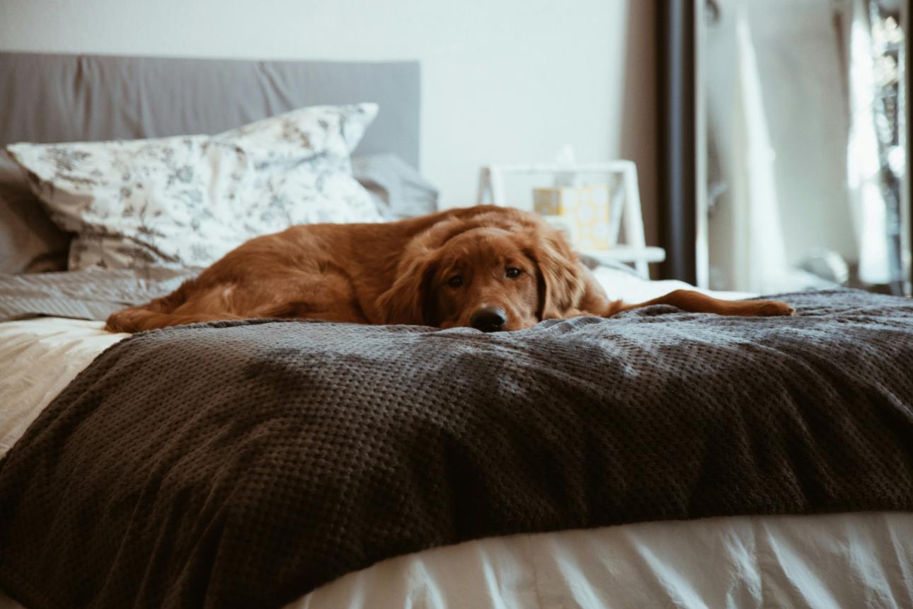 Φωτογραφία: Unsplash