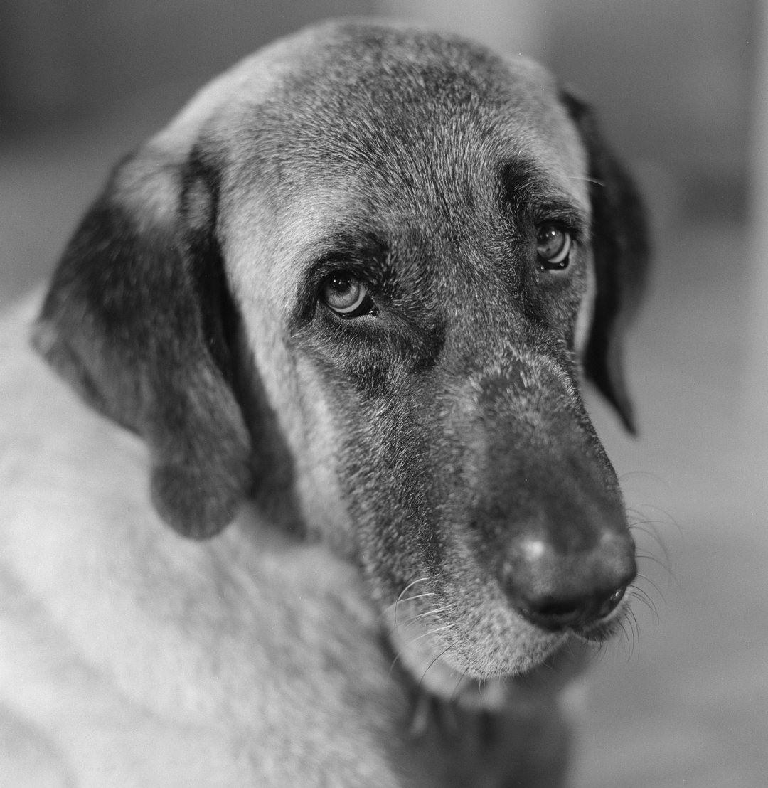 Έκθεση φωτογραφίας του Γιώργου Λάνθιμου/ Φωτογραφία: Με την ευγενικη παραχωρηση του Γιωργου Λανθιμου και του MACK