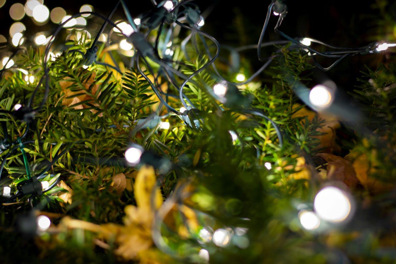 Τα LED λαμπάκια κερδίζουν έδαφος στη χριστουγεννιάτικη διακόσμηση/ Φωτογραφία: Unsplash