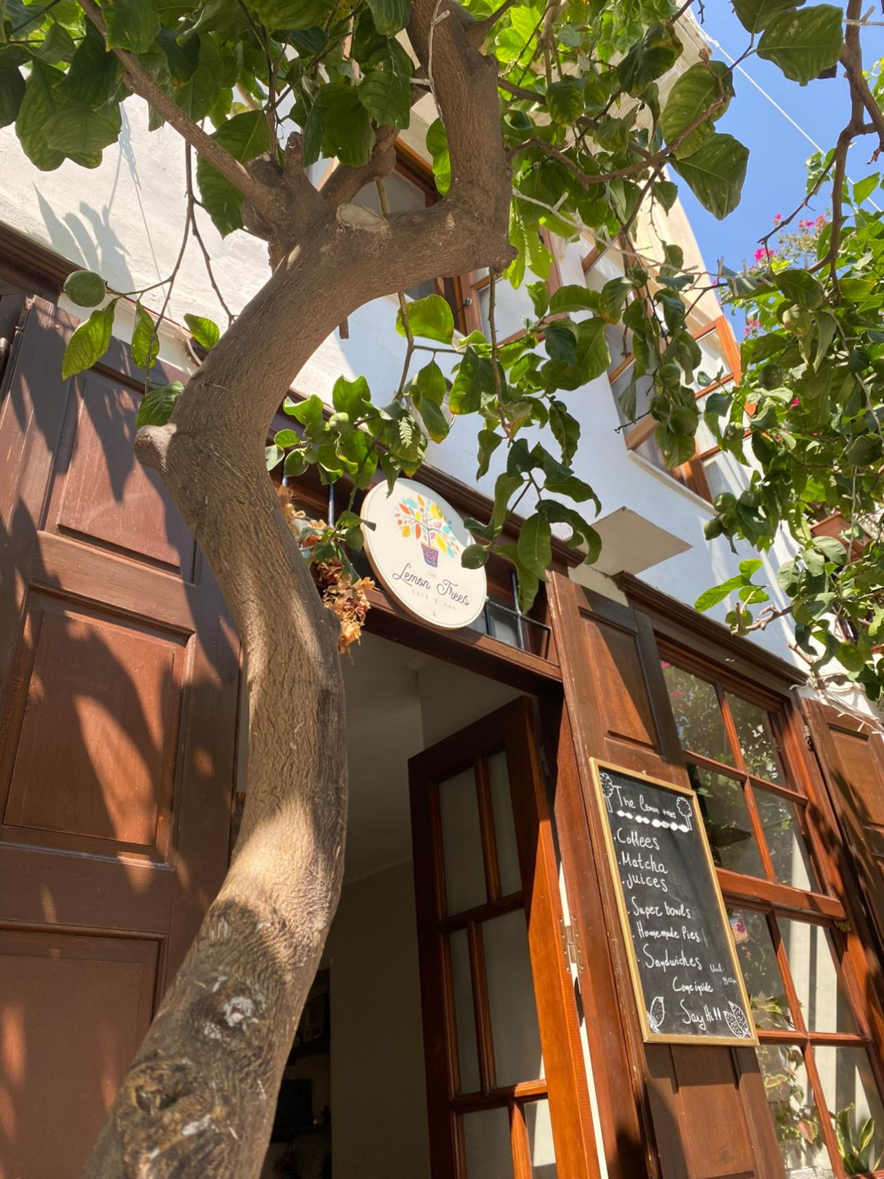The Lemon Trees / Φωτογραφία: Ελένη Μητσιοπούλου για το Bovary 