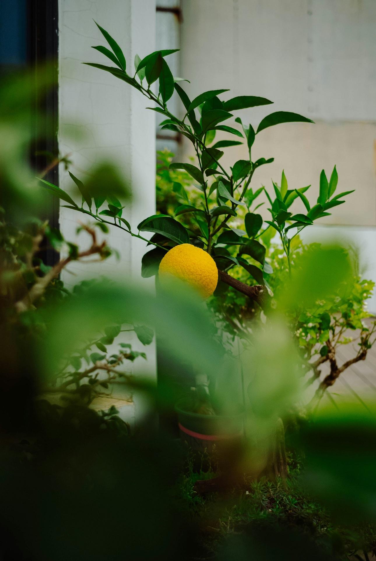 Φωτογραφία Unsplash 