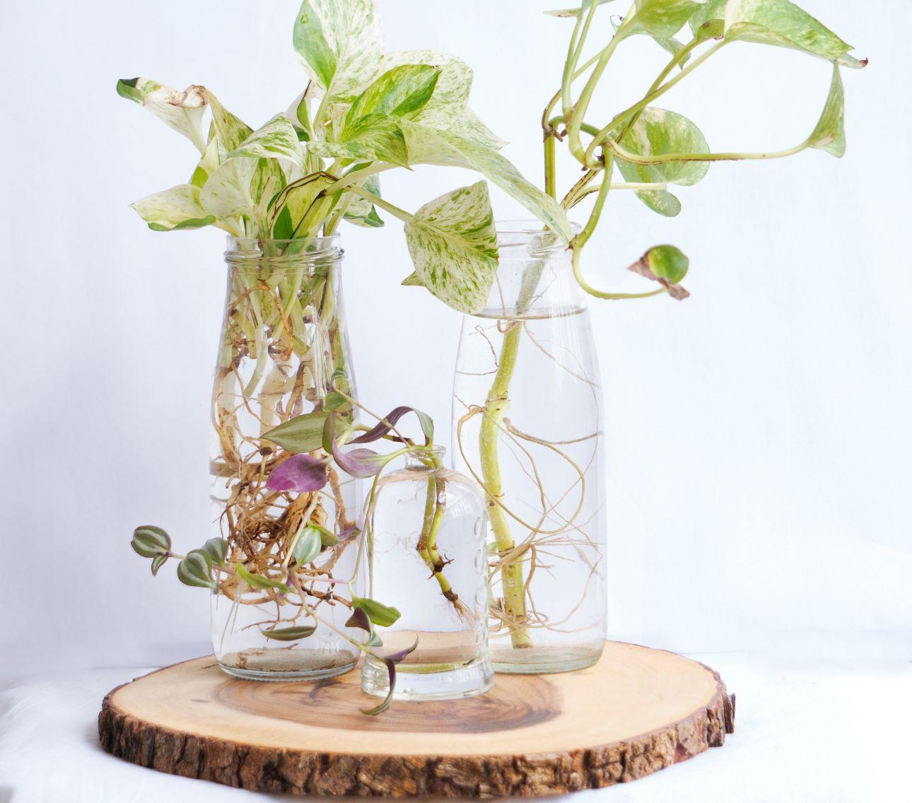 Τηλέγραφος / Φωτογραφία: Shutterstock 