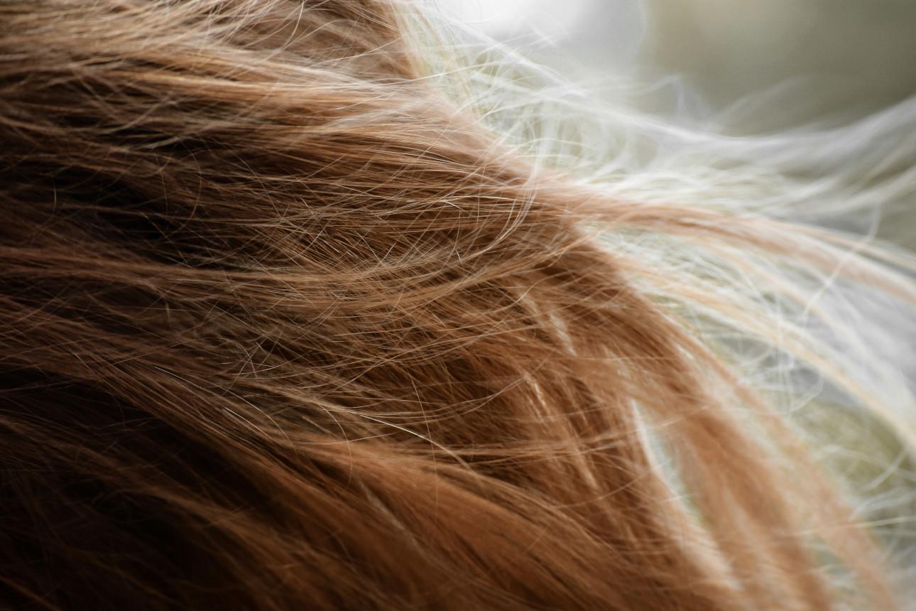 Φωτογραφία: Pexels