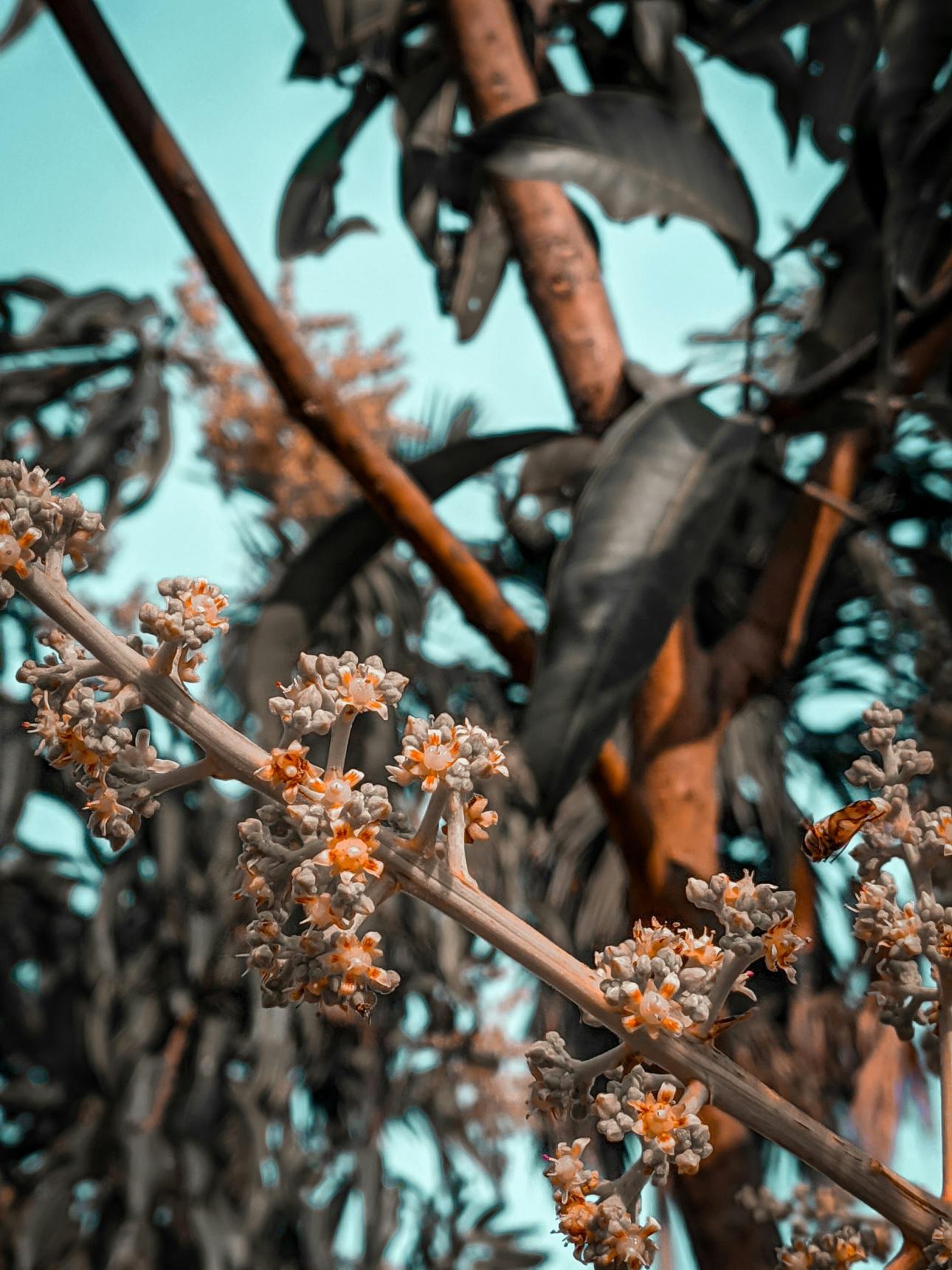 Φωτογραφία Unsplash