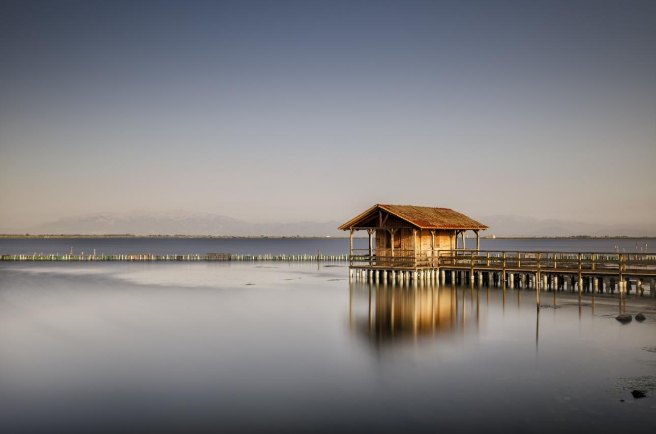 Φωτογραφία: Shutterstock
