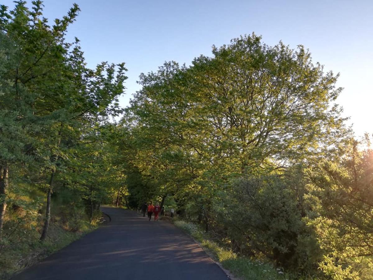  ﻿Φωτογραφία: Facebook @Μικροχώρι Καπανδριτίου  