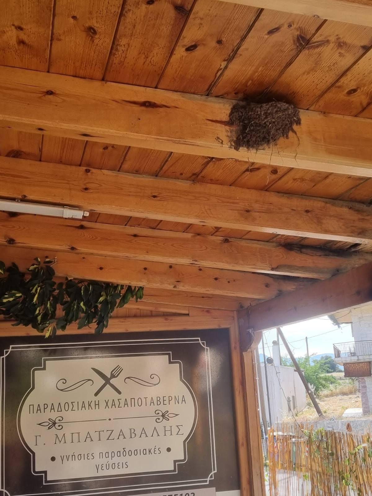 Φωτογραφία: Facebook @Ταβέρνα Μπατζάβαλης 