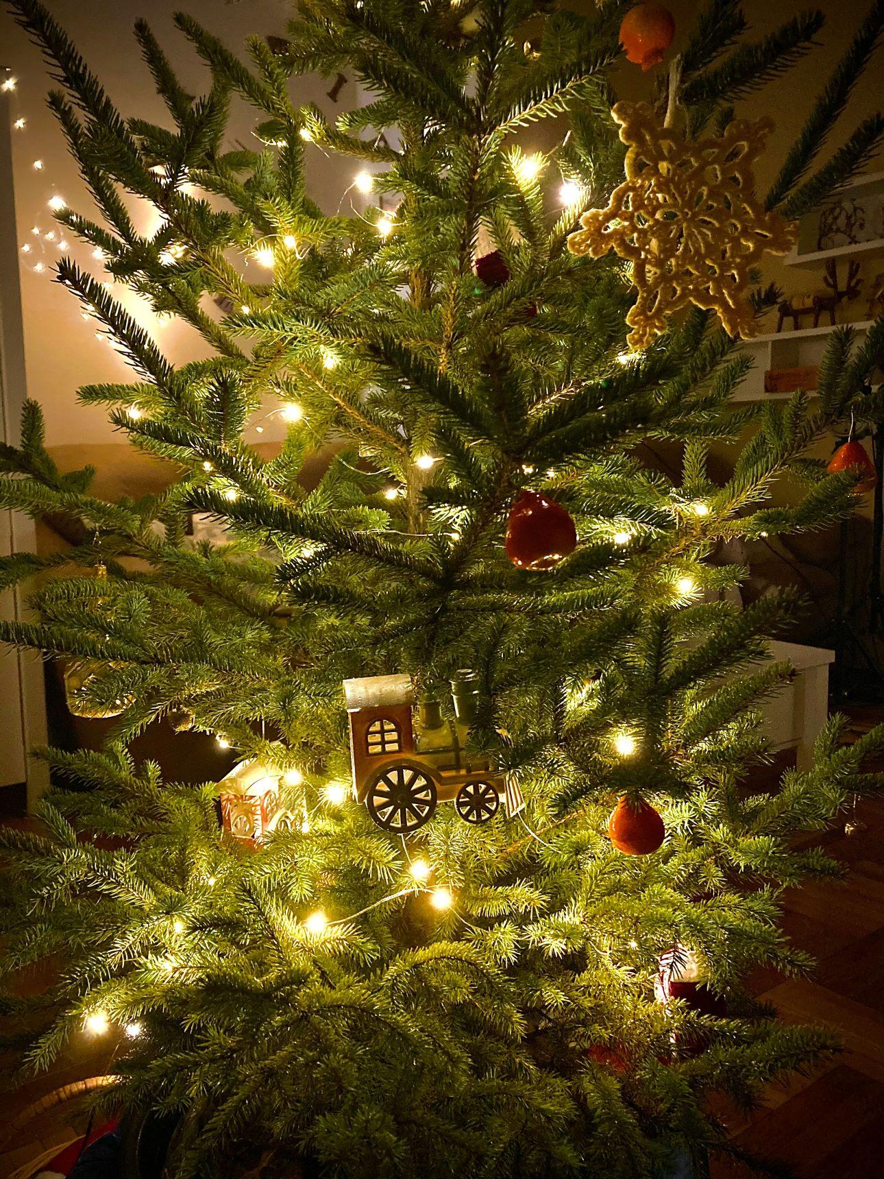 Φυσικό χριστουγεννιάτικο δέντρο/ Φωτογραφία: Unsplash