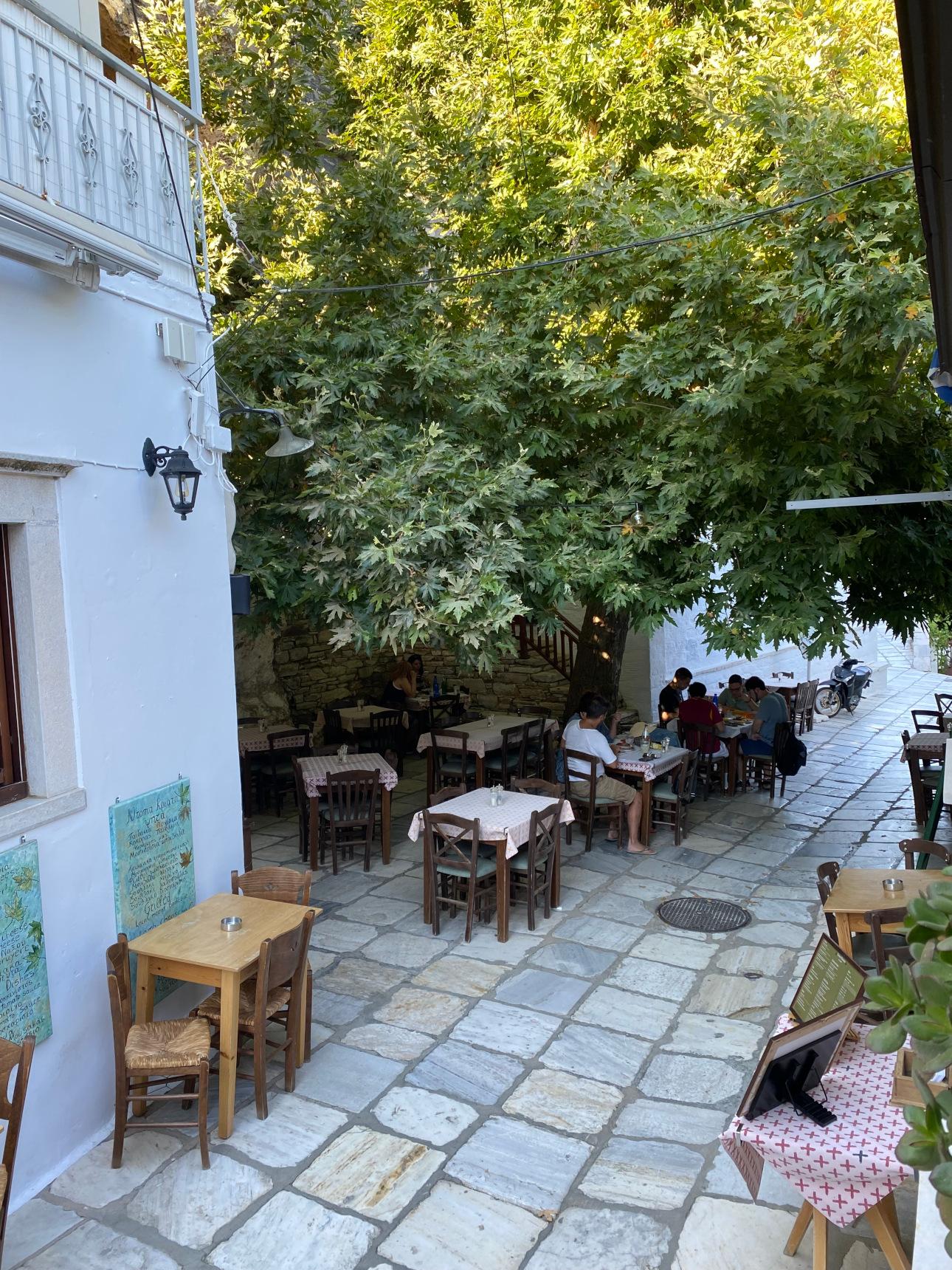 H ταβέρνα «Πλάτανος»